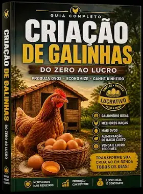 Como Criar Galinhas em Casa ou Sítio – Do Zero ao Lucro | Guia Completo